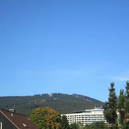 Waldfrieden Apartment *